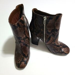 Steve Madden snake booties